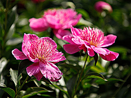 江南登录入口产品展示三