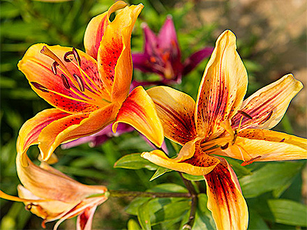 江南登录入口产品展示八