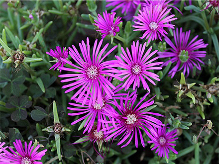 江南登录入口产品展示六